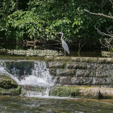 The Jubilee Roost At Eamont Park
